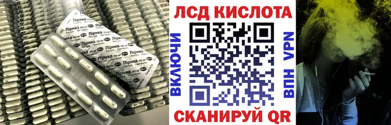 закладки  Пошехонье  Лсд 25 экстази ecstasy 
