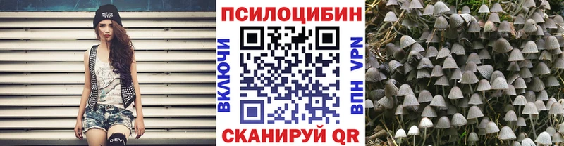 сайты даркнета как зайти дарнет шоп Пошехонье Псилоцибиновые грибы MAGIC MUSHROOMS